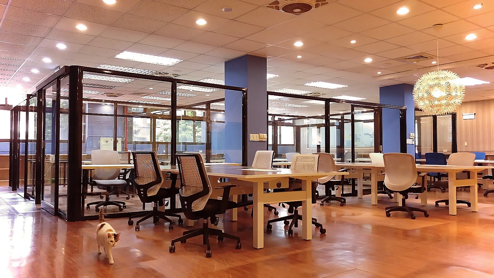 Imagem do fornecedor