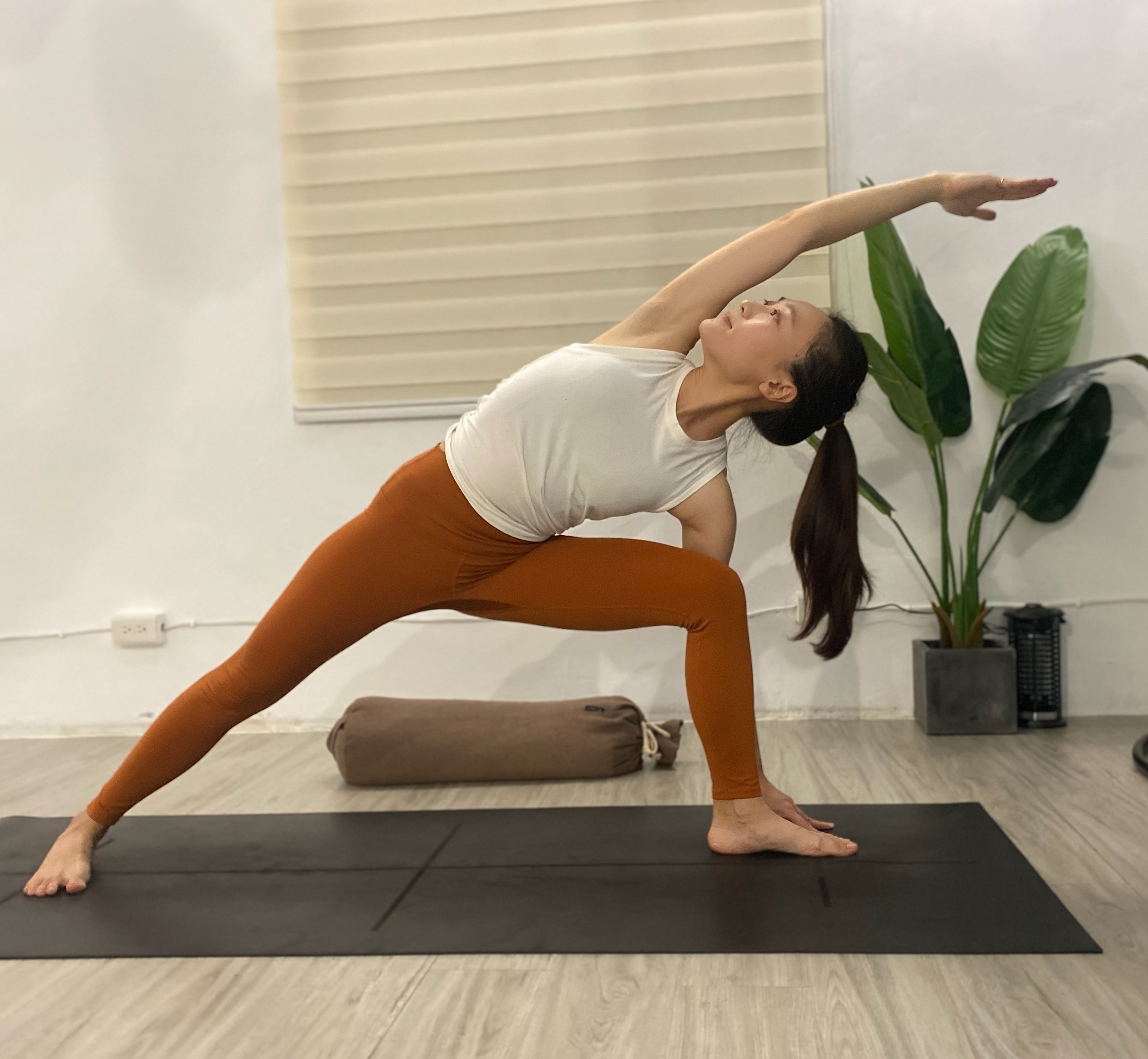 Imagem do fornecedor