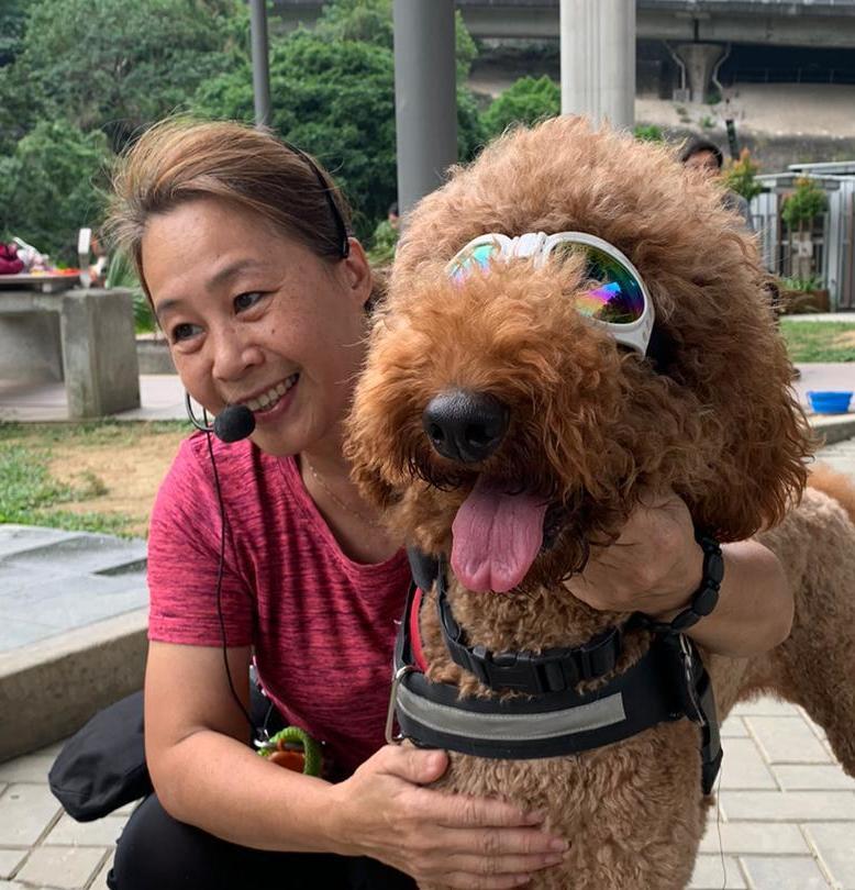 Imagem do fornecedor