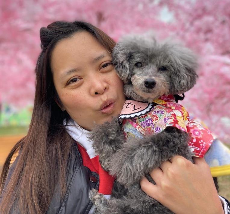 Imagem do fornecedor