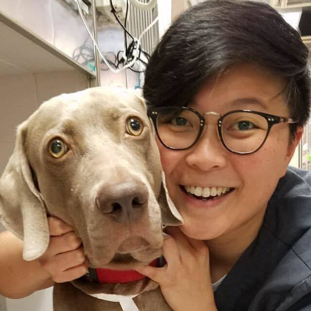 Imagem do fornecedor