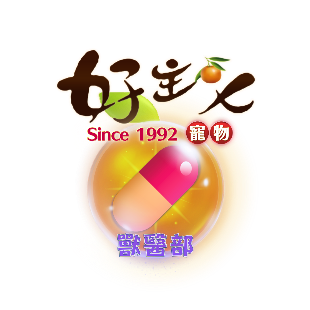 服務項目照片