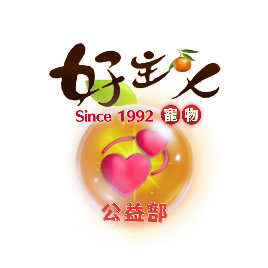 服務項目照片