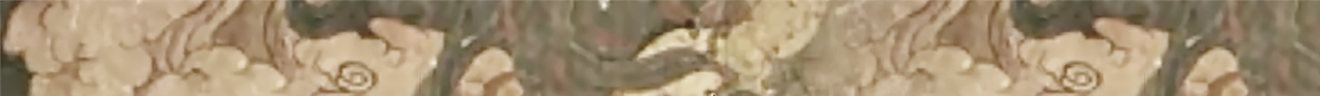 Imagem de apresentação da empresa