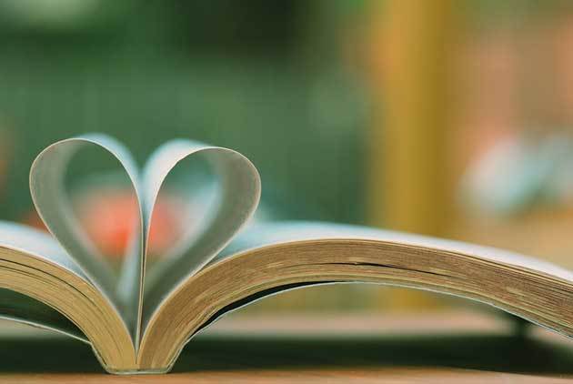 Imagem do fornecedor