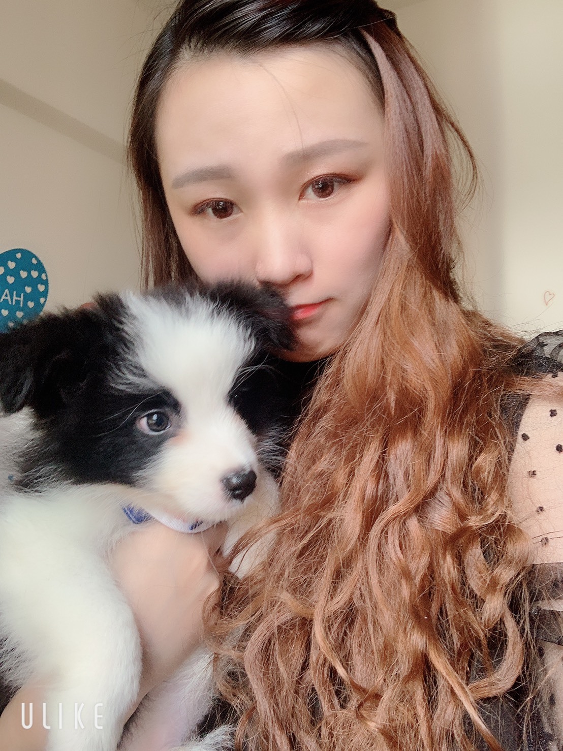 Imagem do fornecedor