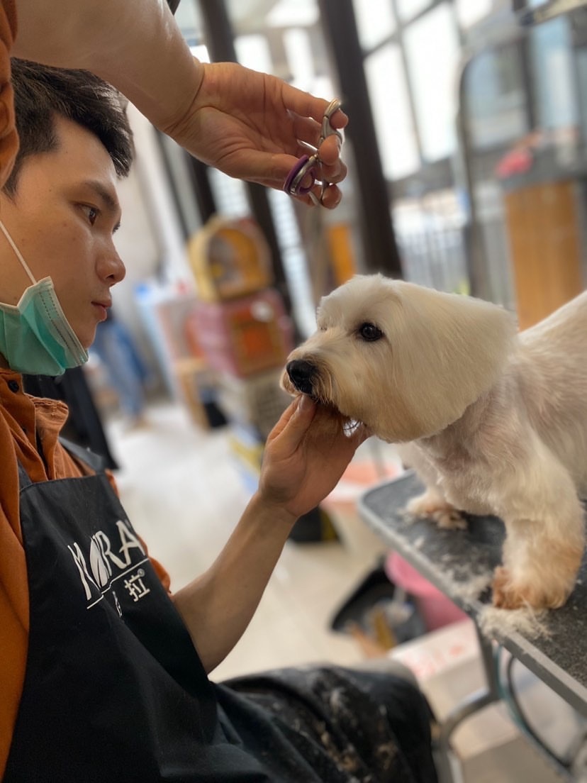 Imagem do fornecedor