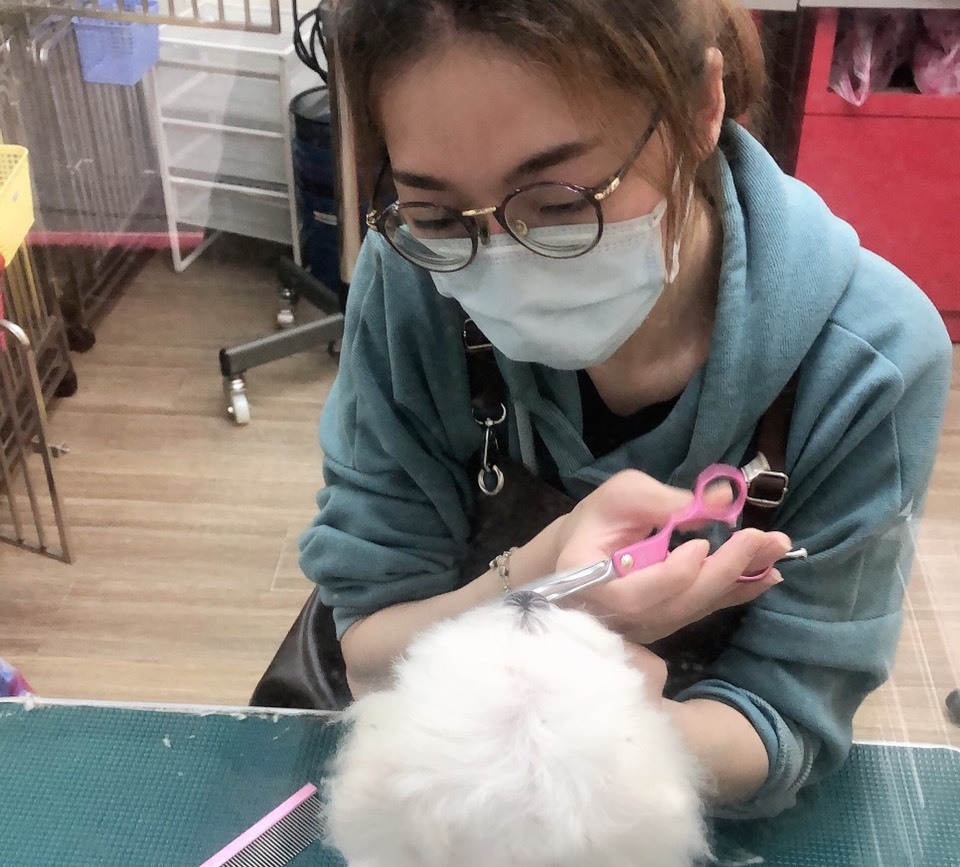 Imagem do fornecedor