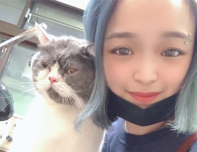 Imagem do fornecedor