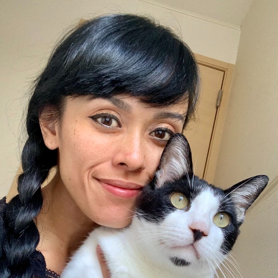 Imagem do fornecedor